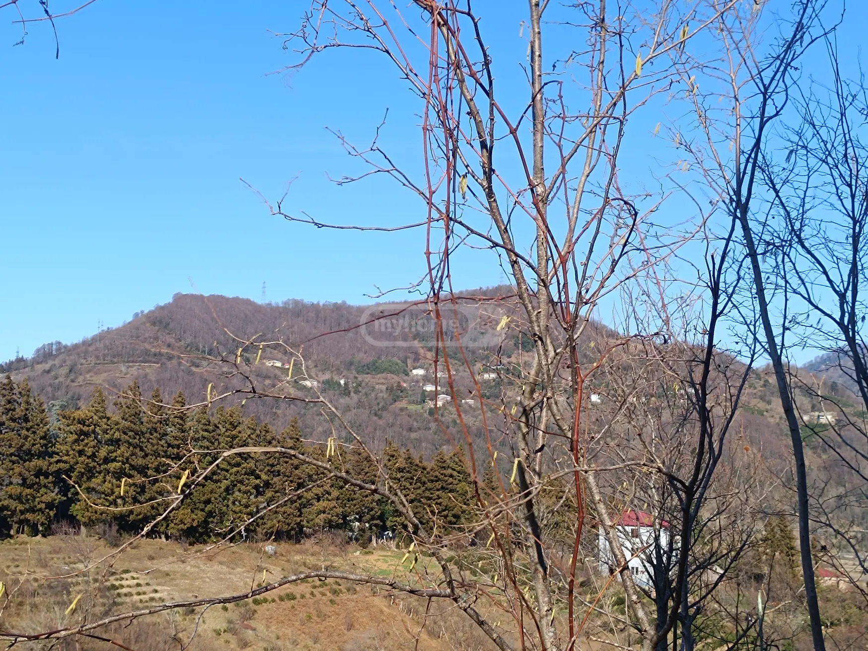 For Sale Sasoplo-Sameurneo Land Plot In Batumi view 10