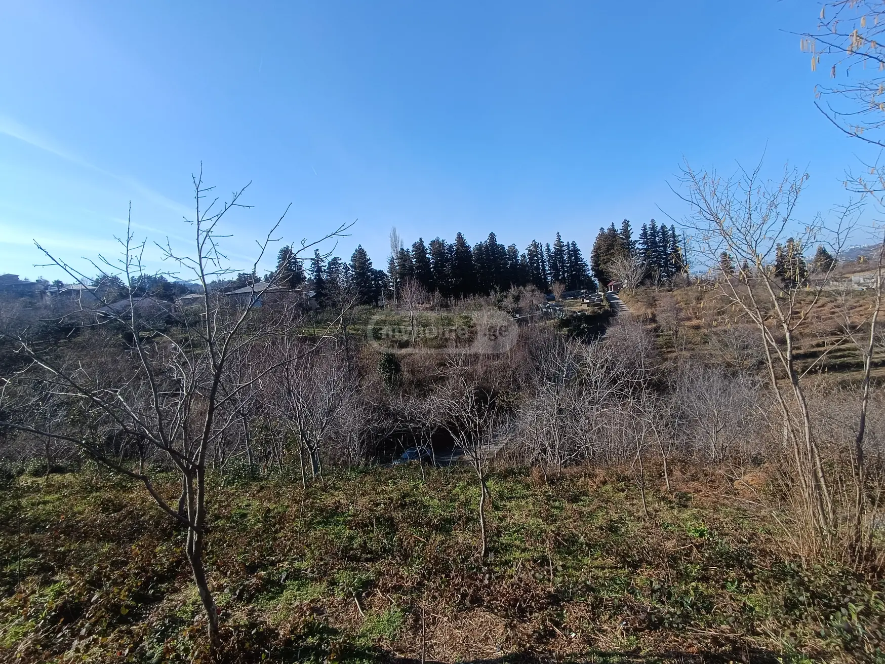 For Sale Sasoplo-Sameurneo Land Plot In Batumi view 3