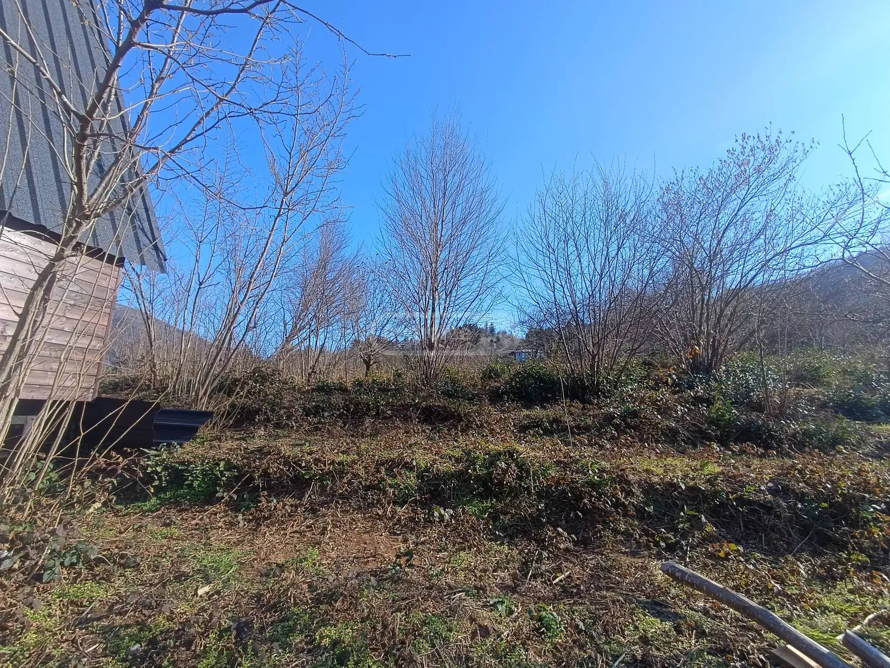 For Sale Sasoplo-Sameurneo Land Plot In Batumi view 14