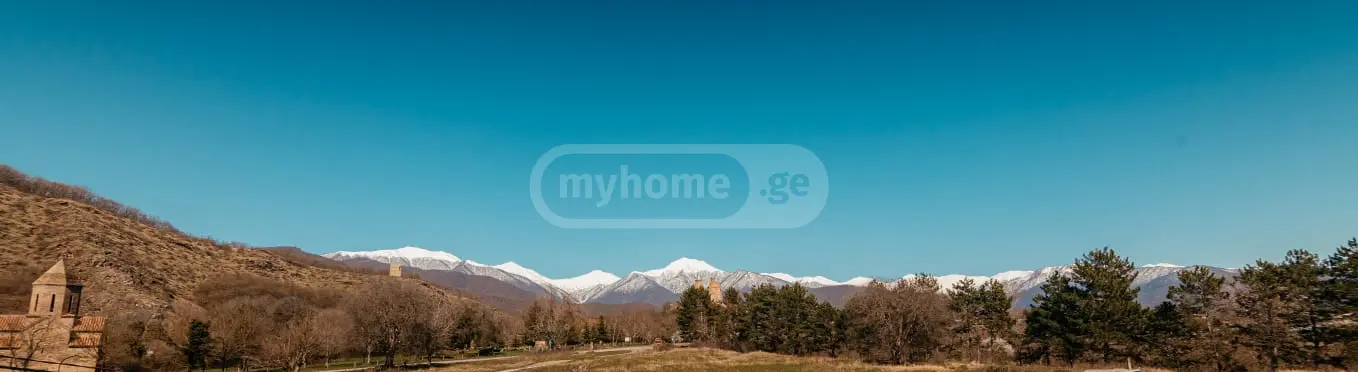 For Rent 10+ Room Sastumro Qvarlis Munitsipalitetshi view 13