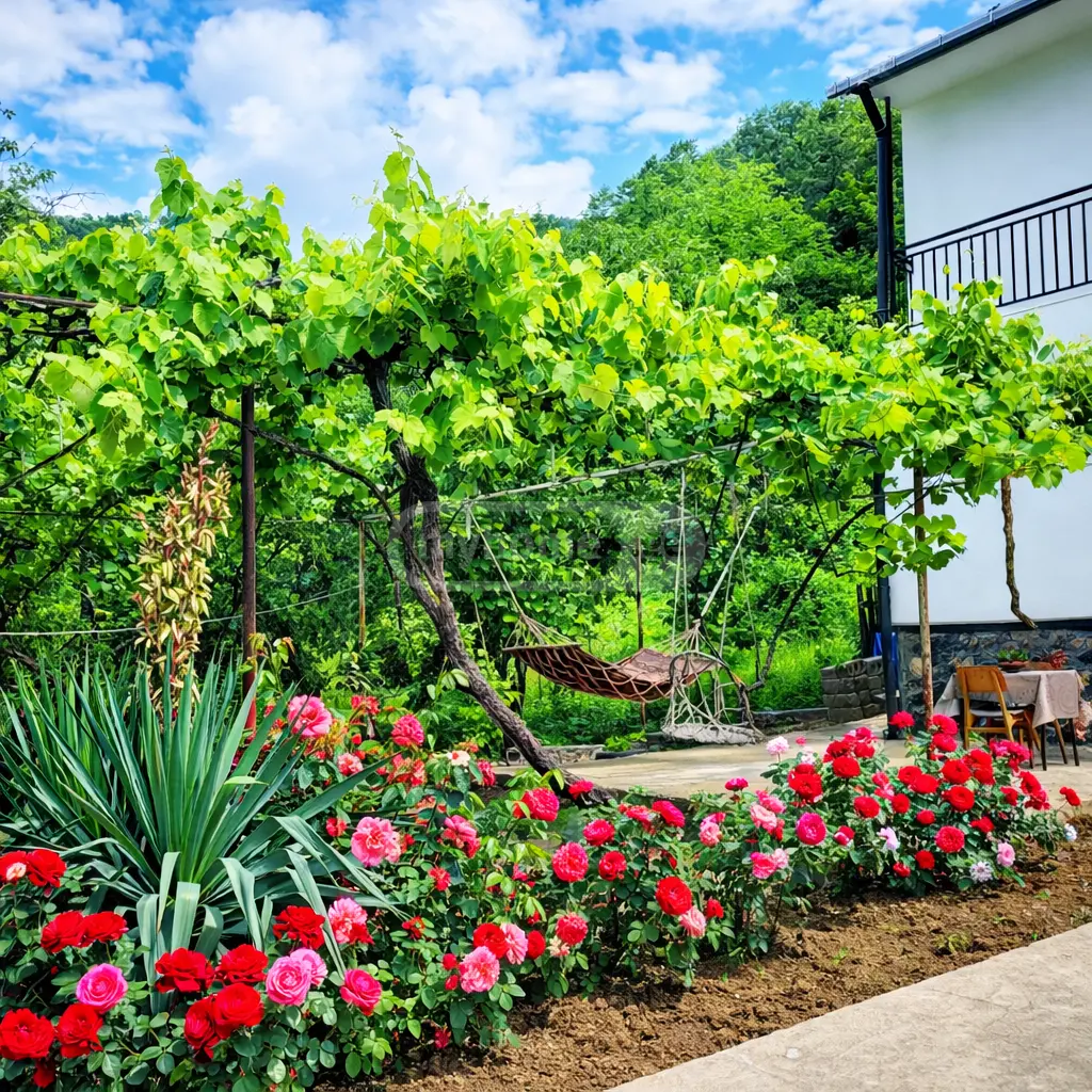 Daily Rent 1 Room Apartment Borjomshi view 8