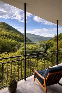 Daily Rent 1 Room Apartment Borjomshi view 4