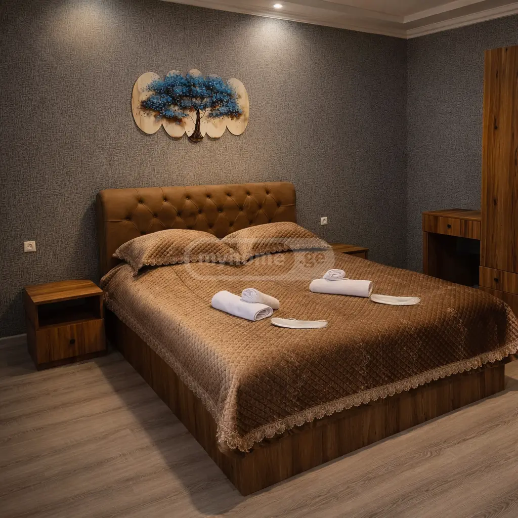 Daily Rent 1 Room Apartment Borjomshi view 3