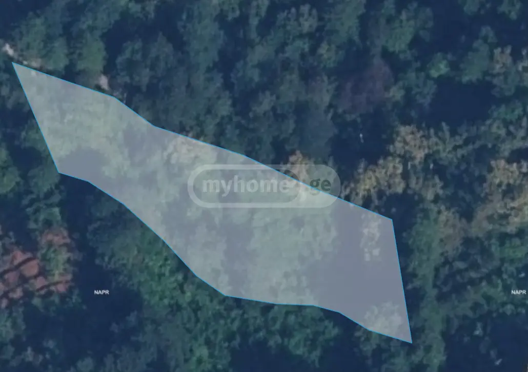 For Sale Sasoplo-Sameurneo Land Plot In Batumi view 1