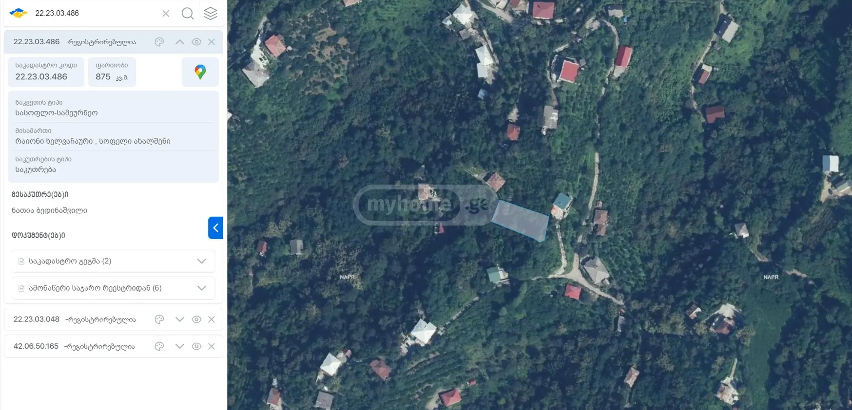 For Sale Sasoplo-Sameurneo Land Plot Khelvachauris Munitsipalitetshi view 1