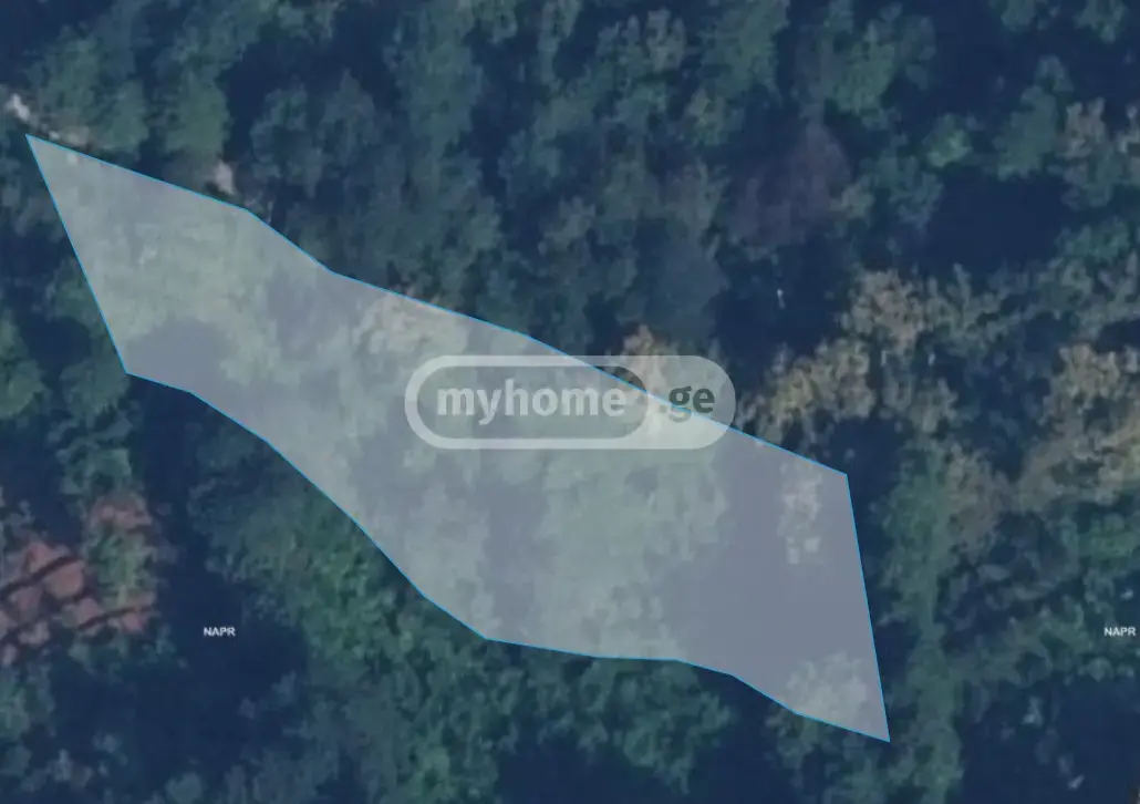 For Sale Sasoplo-Sameurneo Land Plot In Batumi view 1
