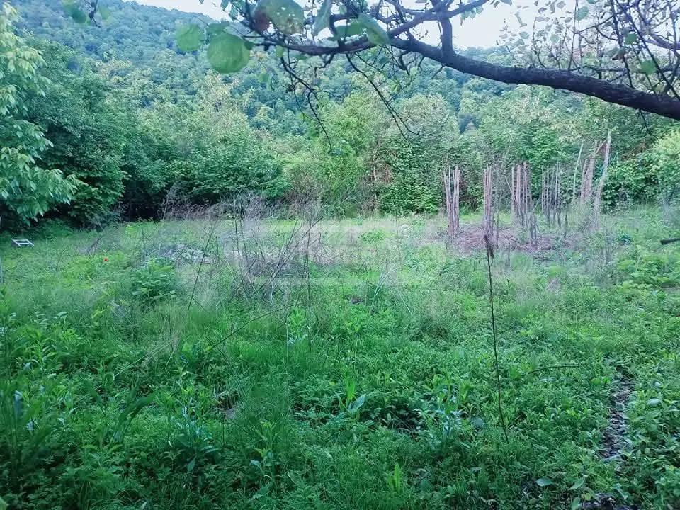 For Sale Ara Sasoplo-Sameurneo Land Plot view 2