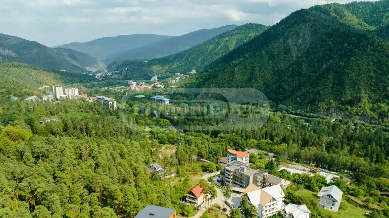 For Sale 10+ Room Sastumro Borjomshi view 13