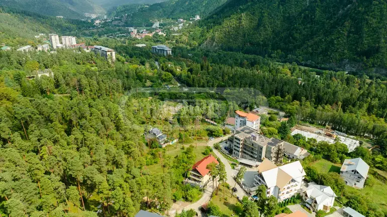 For Sale 10+ Room Sastumro Borjomshi view 10