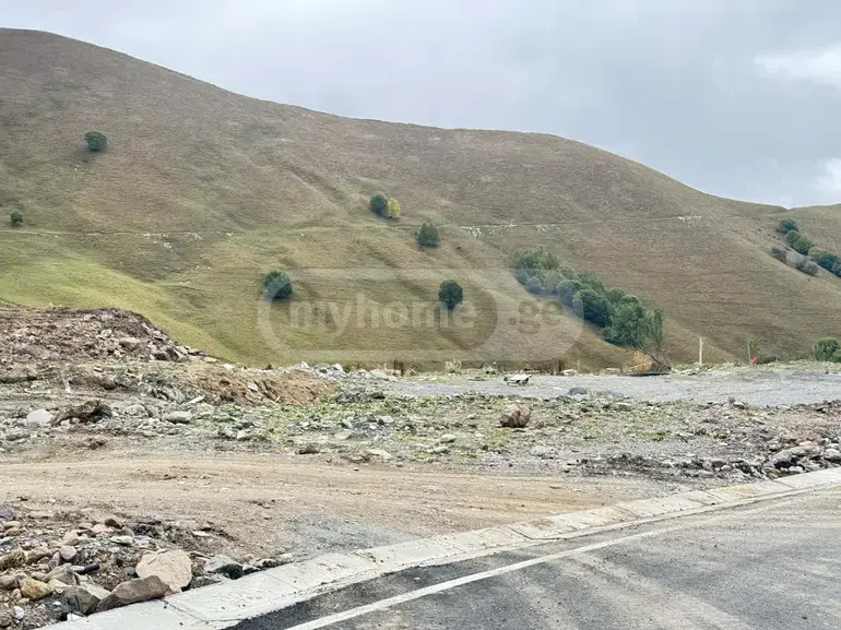 For Sale Sasoplo-Sameurneo Land Plot Gudaurshi, 5 of 8