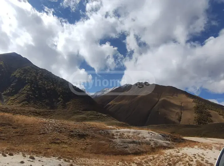 For Sale Sasoplo-Sameurneo Land Plot Gudaurshi, 8 of 8
