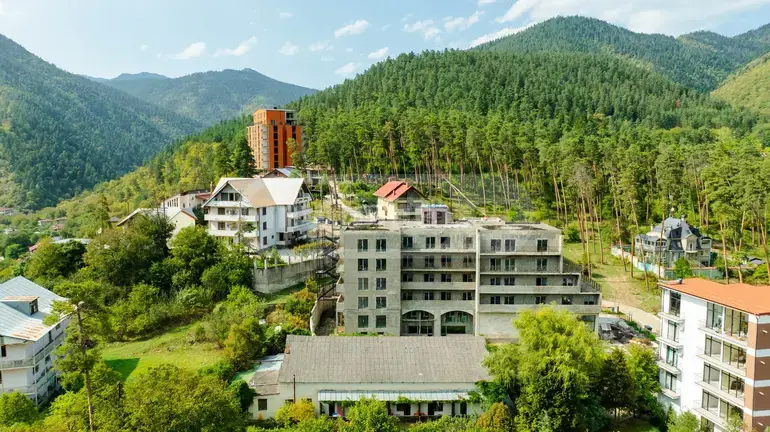 For Sale 10+ Room Sastumro Borjomshi view 14