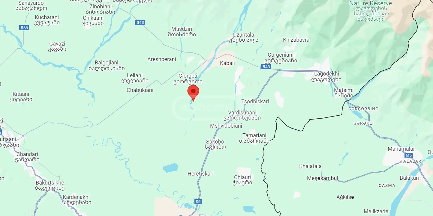 For Sale Sasoplo-Sameurneo Land Plot Lagodekhshi view 4