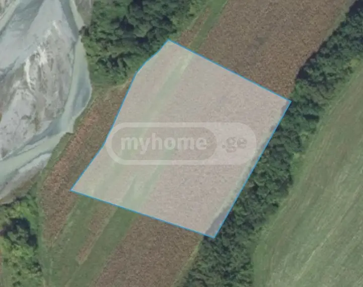 For Sale Sasoplo-Sameurneo Land Plot Lagodekhshi view 3