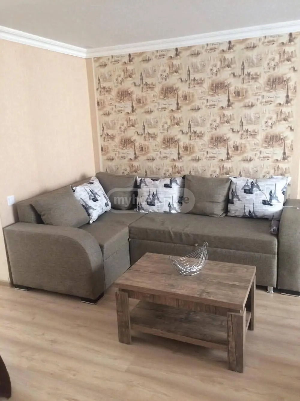 For Rent 4 Room Private House Zugdidshi view 14