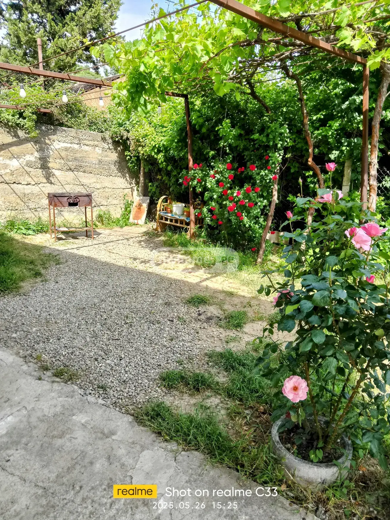 Daily Rent 5 Room Country House view 5