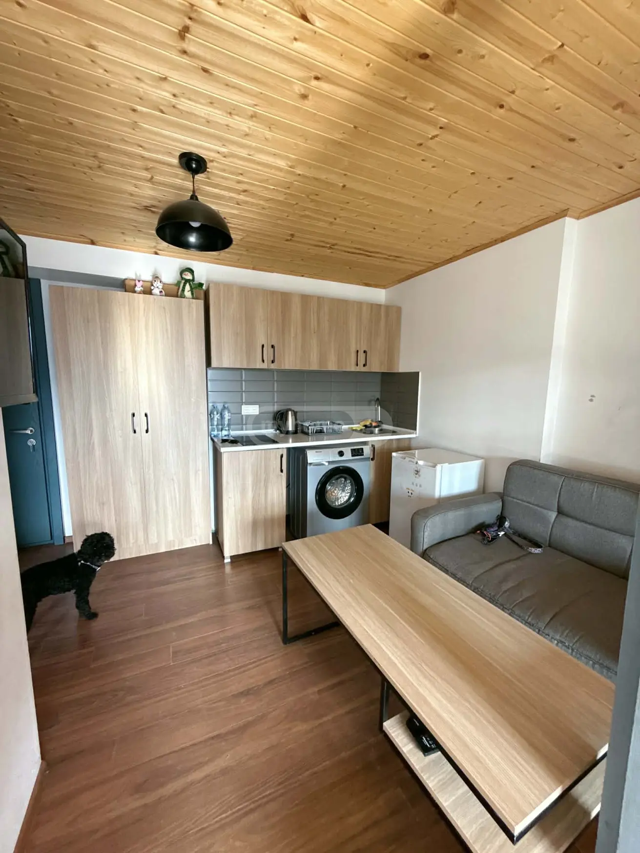 Daily Rent 2 Room Sastumro Bakurianshi, 5 of 9