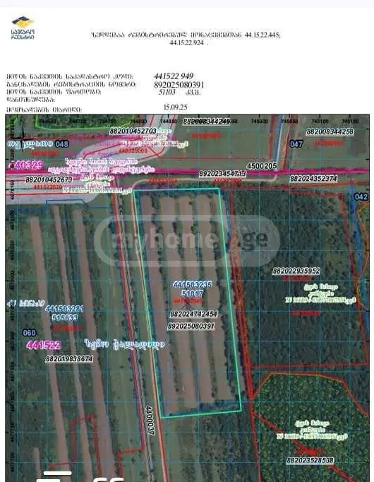 For Sale Sasoplo-Sameurneo Land Plot Senakshi view 2