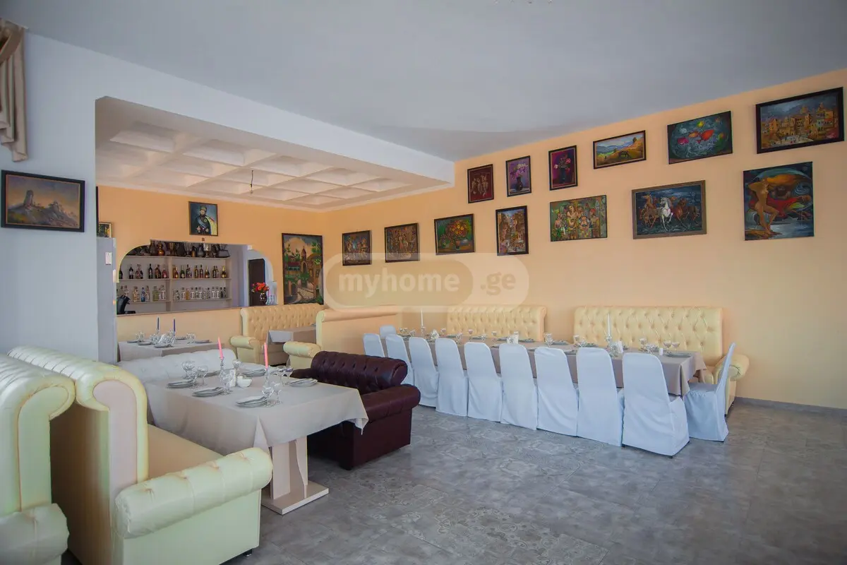 For Rent 10+ Room Apartment Telavshi view 11