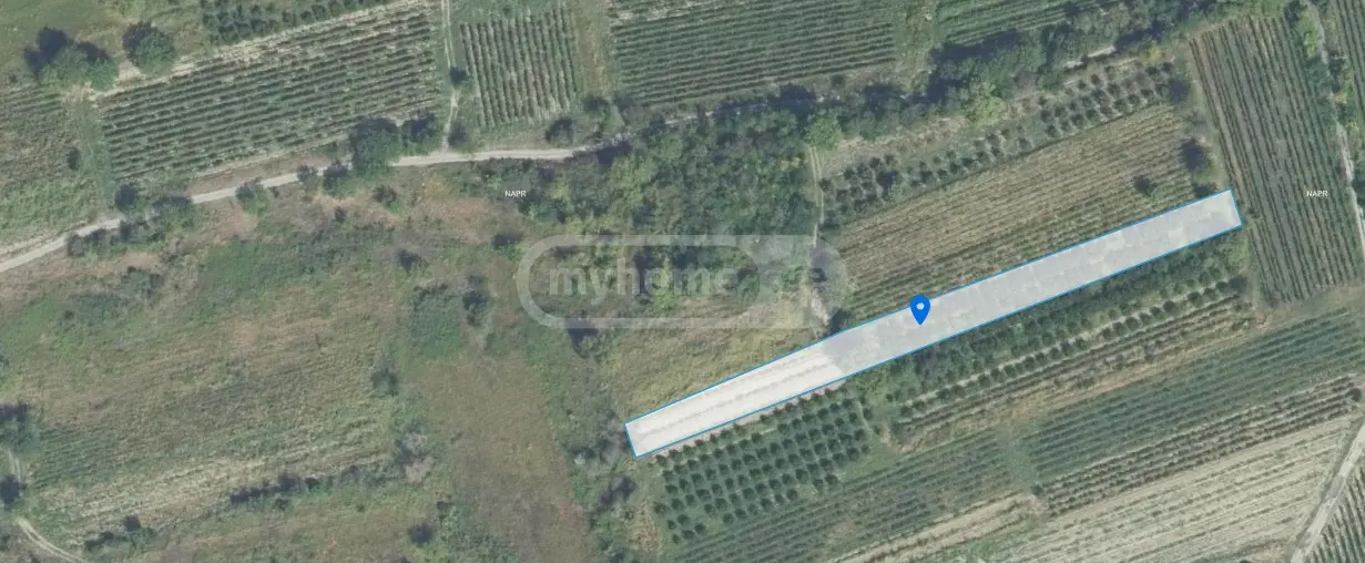 Продажа Земля / участок в Gurjaanshi view 6