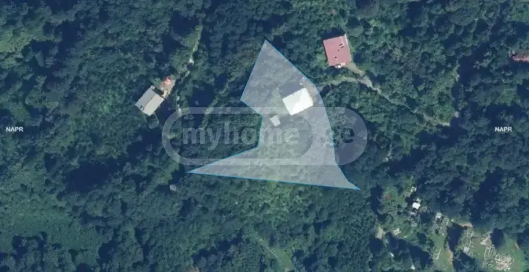 For Sale Sasoplo-Sameurneo Land Plot Kobuletshi, 1 of 2