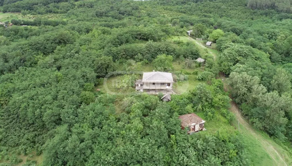 For Sale Ara Sasoplo-Sameurneo Land Plot Samtrediashi view 2