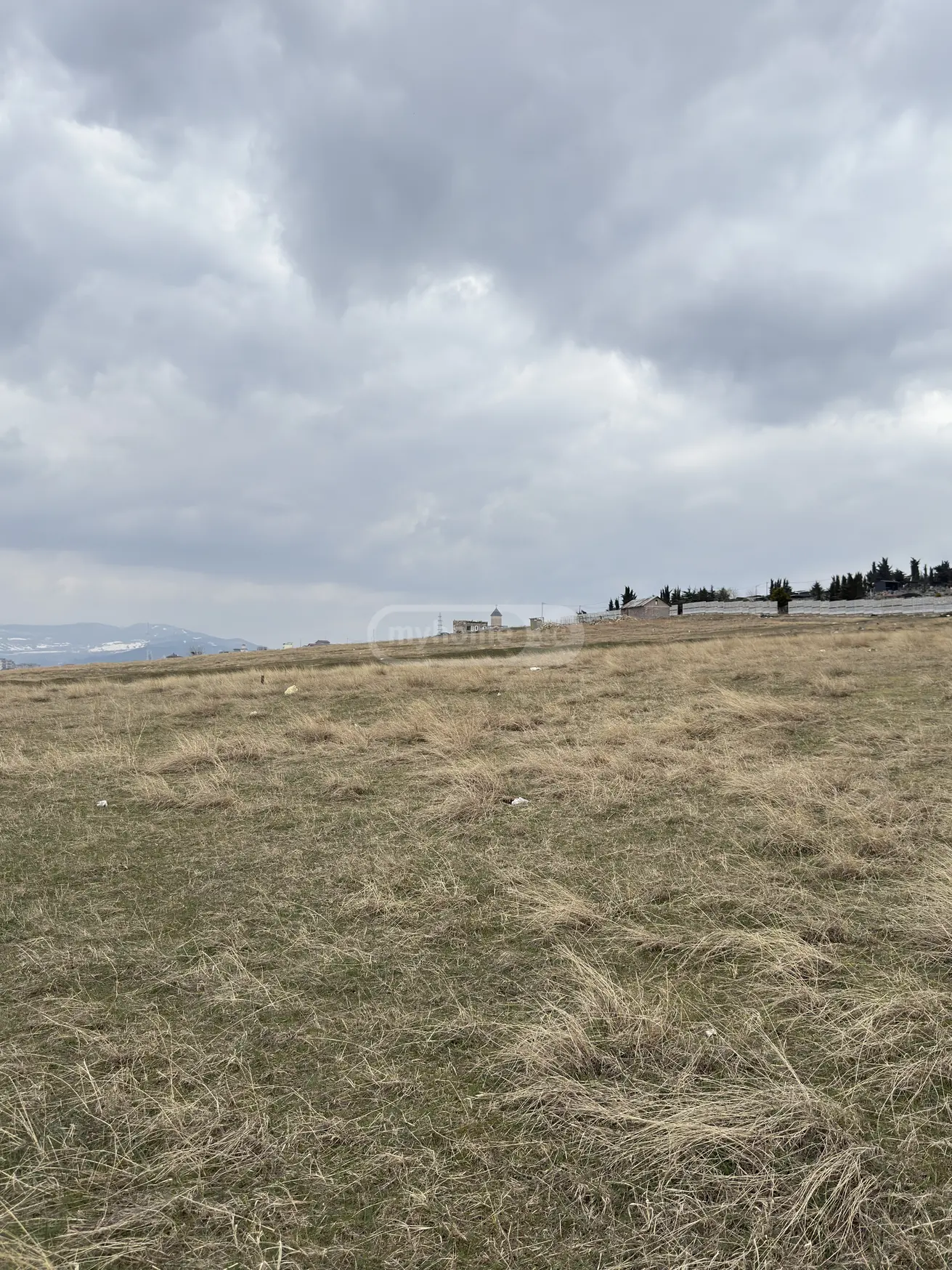 For Sale Sasoplo-Sameurneo Land Plot Varketilshi, 3 of 6