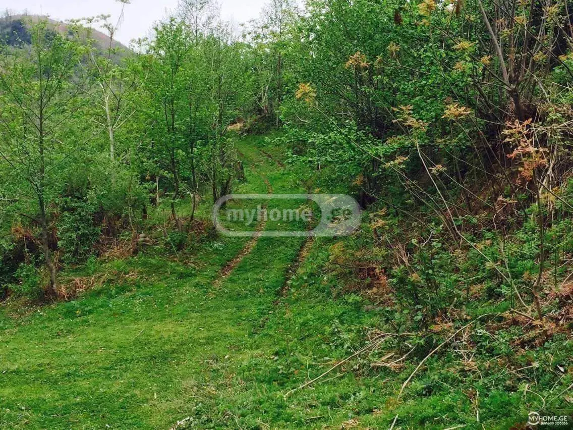 For Sale Sasoplo-Sameurneo Land Plot In Batumi view 2