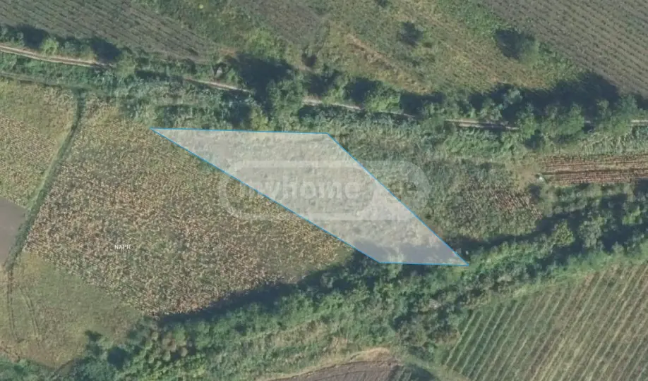 For Sale Sasoplo-Sameurneo Land Plot Sighnaghshi view 2