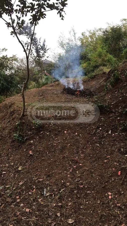 For Sale Sasoplo-Sameurneo Land Plot In Batumi view 1