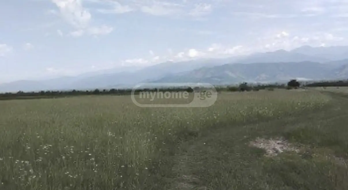 იყიდება მიწა / ნაკვეთი Gurjaanis Munitsipalitetshiში view 1
