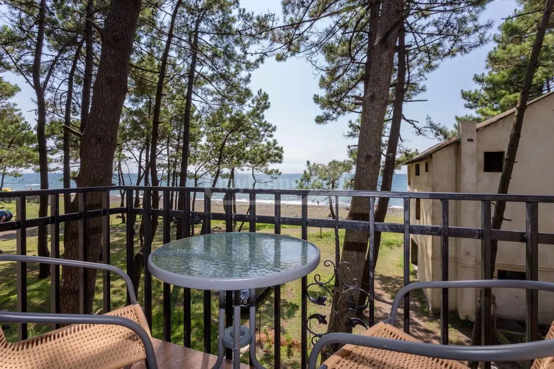 Daily Rent 5 Room Private House Lanchkhutis Munitsipalitetshi view 1