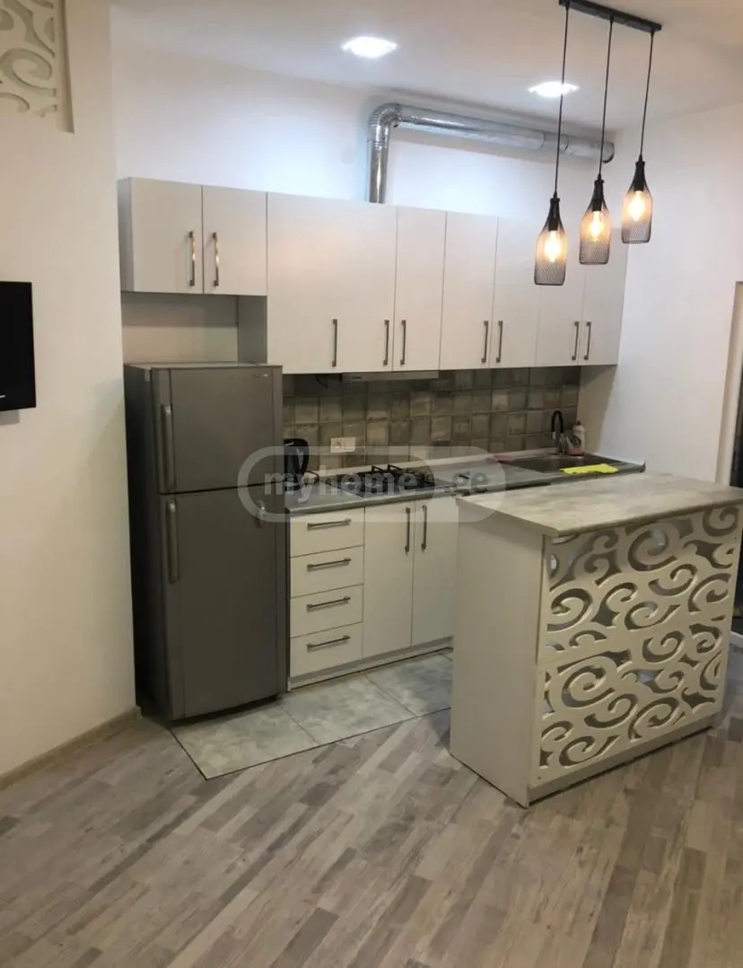 Daily Rent 2 Room Apartment Didubeshi, 1 of 12