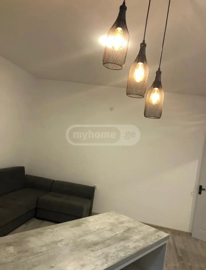 Daily Rent 2 Room Apartment Didubeshi, 2 of 12