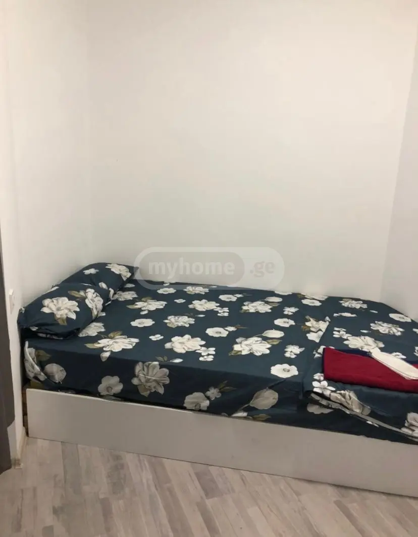 Daily Rent 2 Room Apartment Didubeshi, 9 of 12