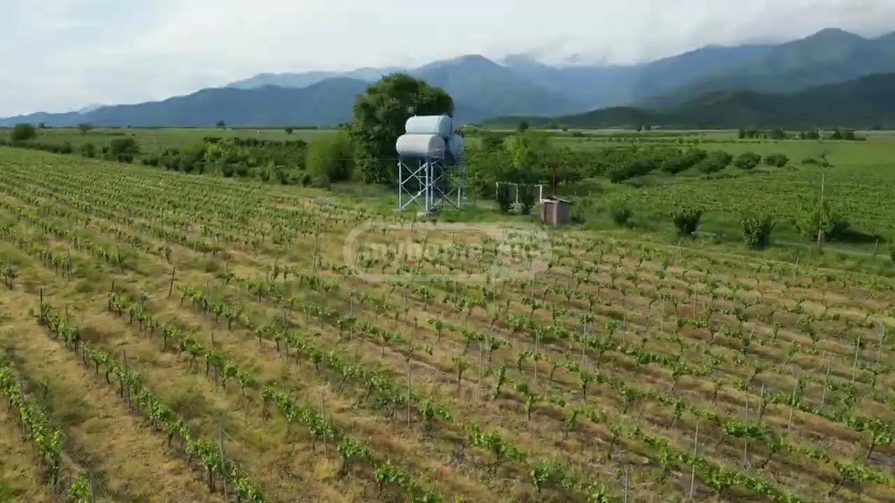 For Sale Sasoplo-Sameurneo Land Plot Qvarlis Munitsipalitetshi view 5