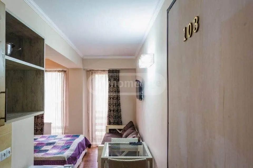 For Sale 1 Room Apartment Bakurianshi view 5