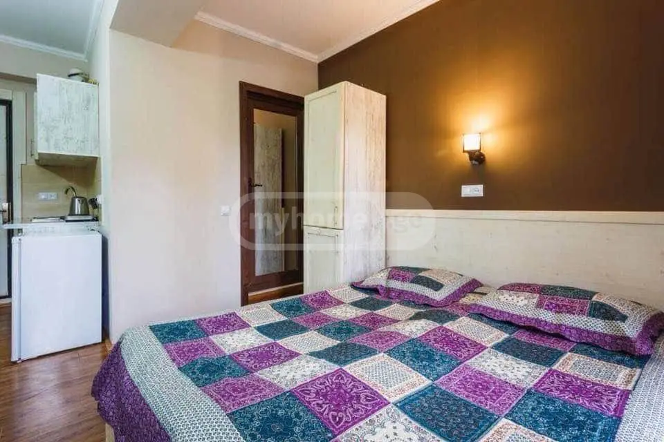For Sale 1 Room Apartment Bakurianshi view 6