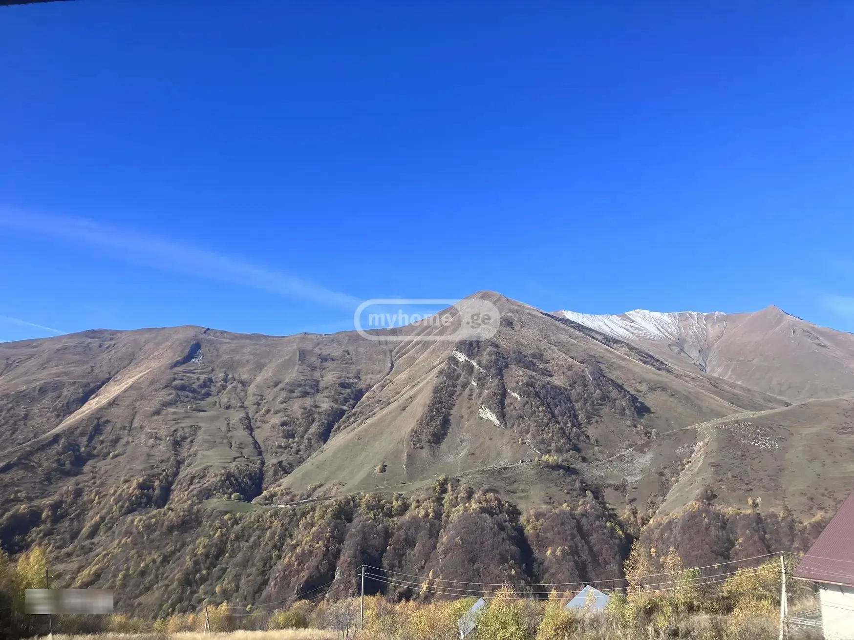 For Sale 10+ Room Sastumro Gudaurshi view 5
