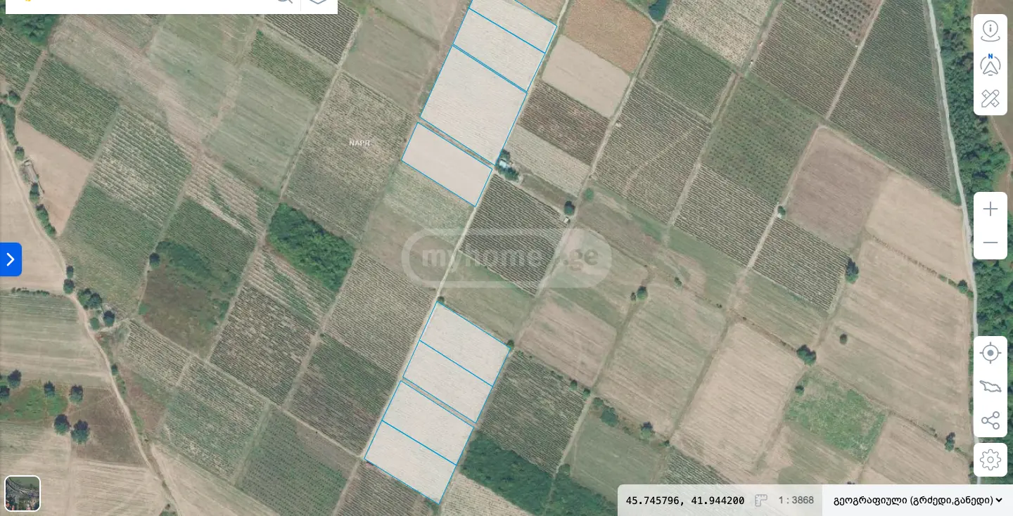 For Sale Sasoplo-Sameurneo Land Plot Qvarlis Munitsipalitetshi view 9