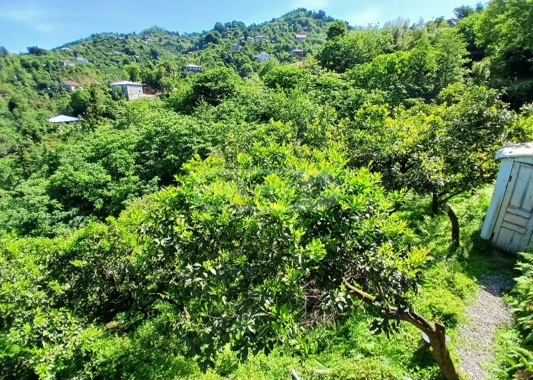 For Sale 9 Room Private House view 9