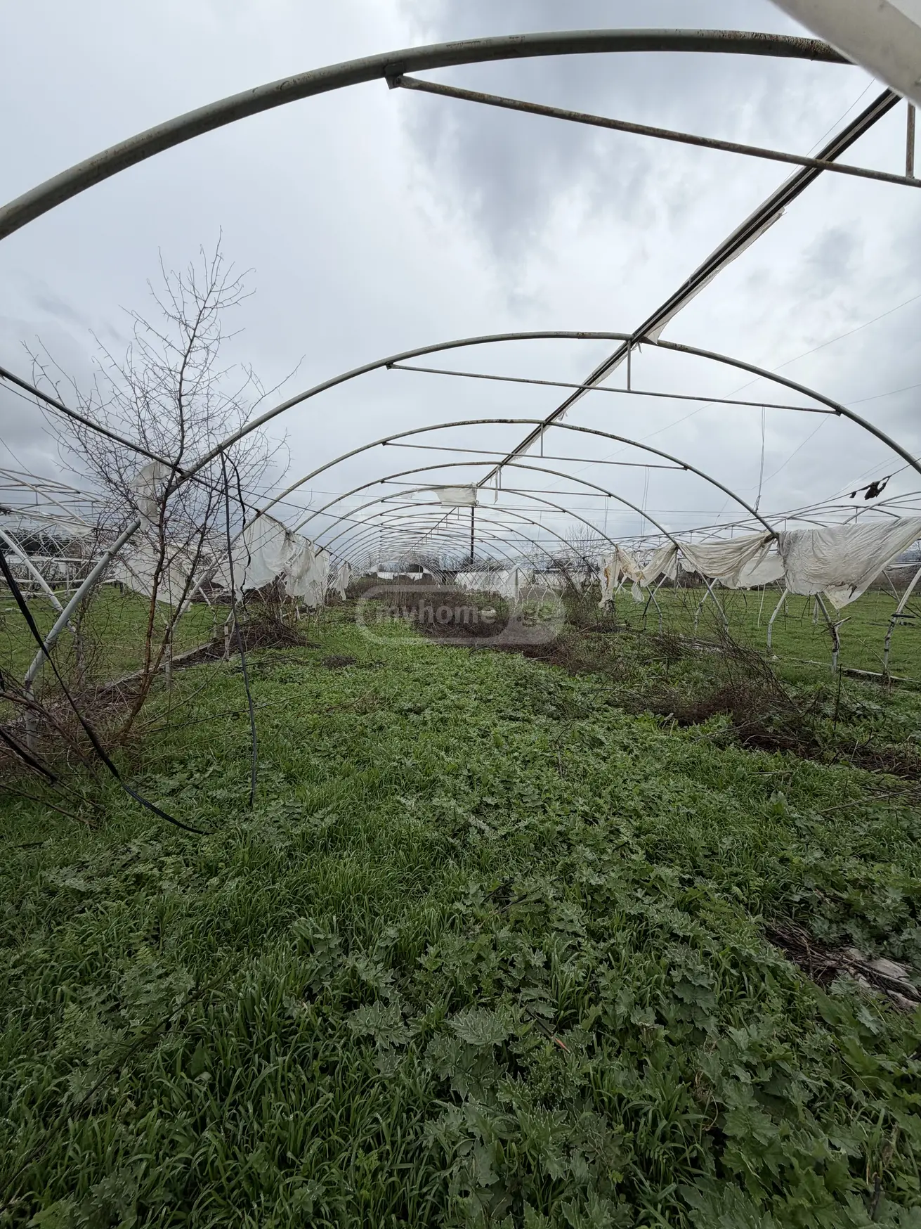 Продажа Земля / участок в Marneulshi view 10