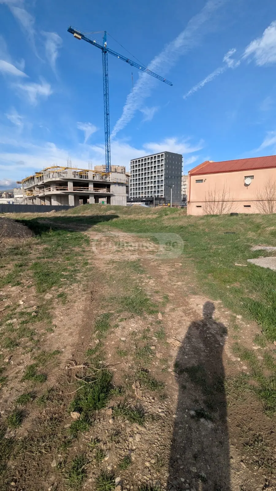 For Sale Ara Sasoplo-Sameurneo Land Plot Varketilshi, 4 of 7