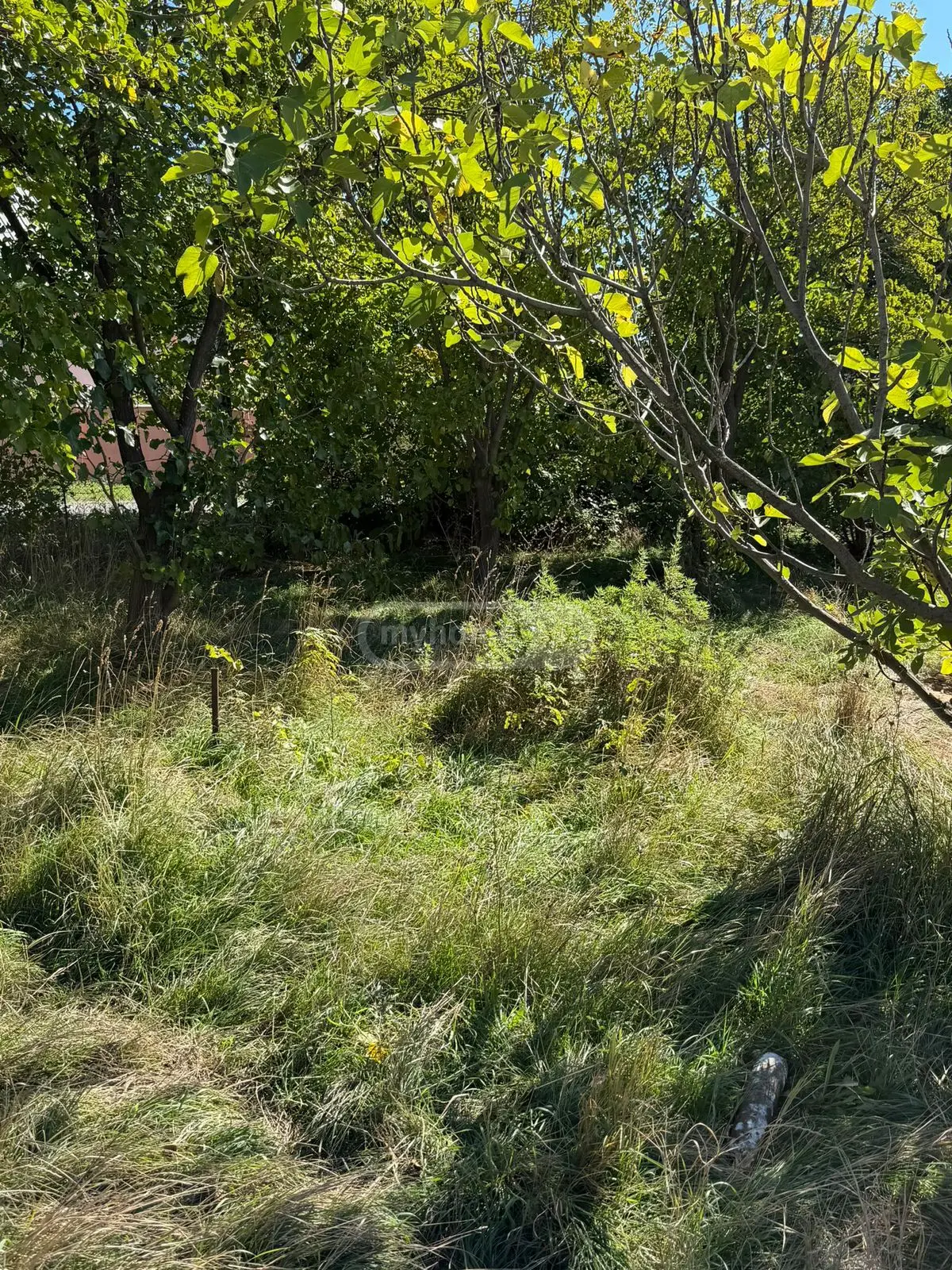 For Sale Sasoplo-Sameurneo Land Plot Tbilisis Zghvaze, 6 of 7