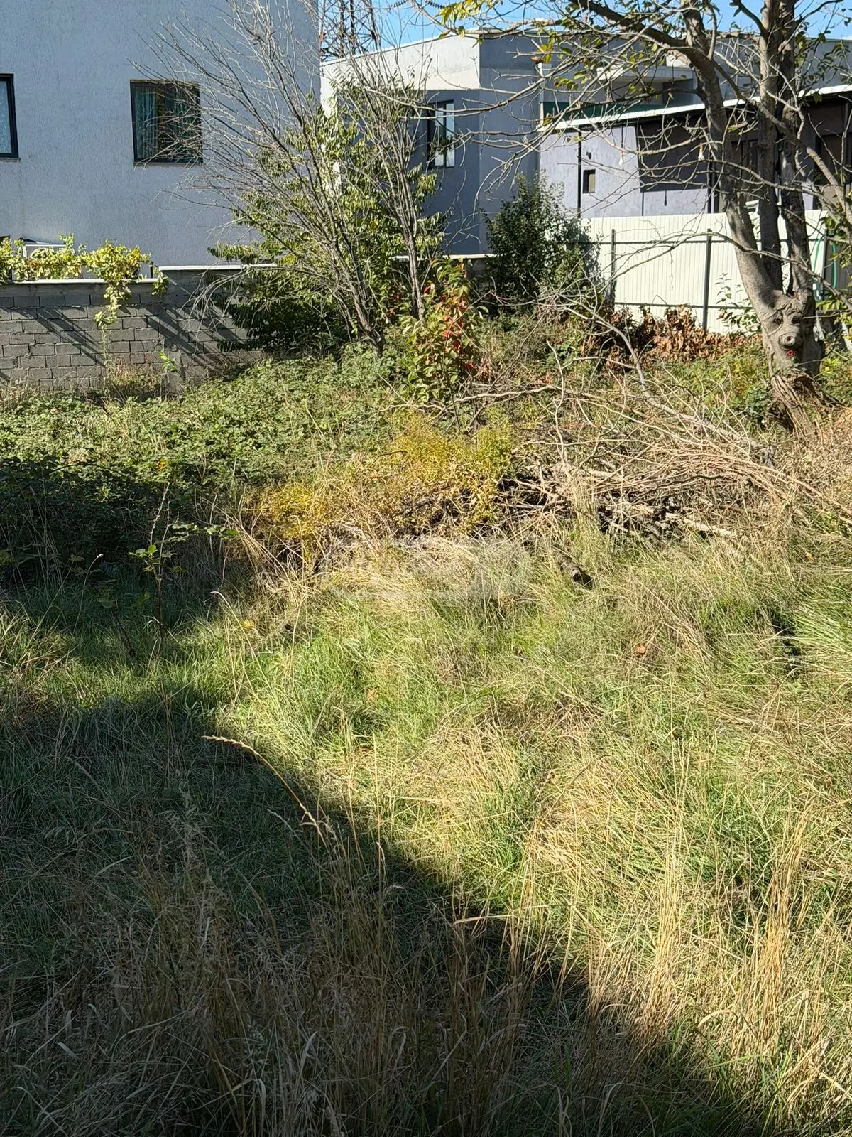 For Sale Sasoplo-Sameurneo Land Plot Tbilisis Zghvaze, 7 of 7