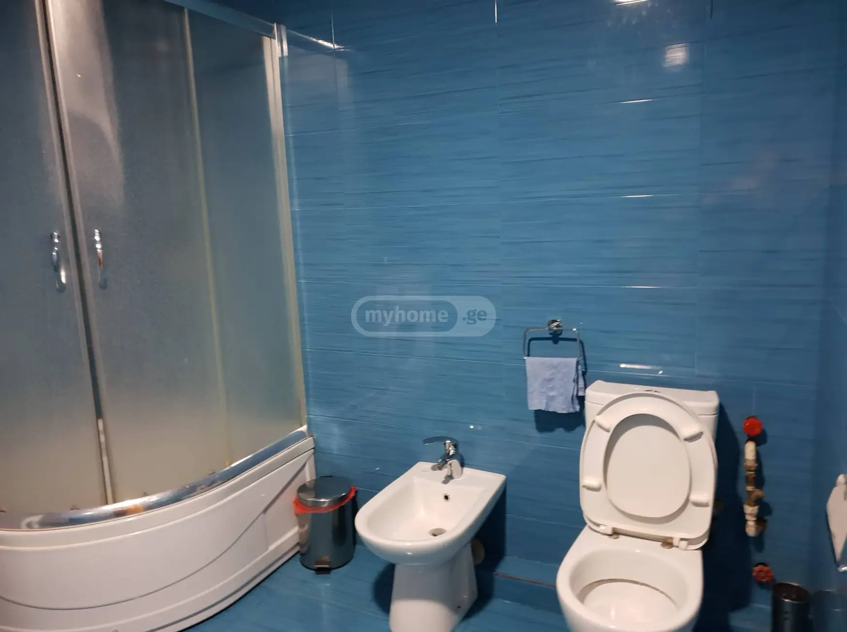 Daily Rent 3 Room Apartment Telavshi view 4