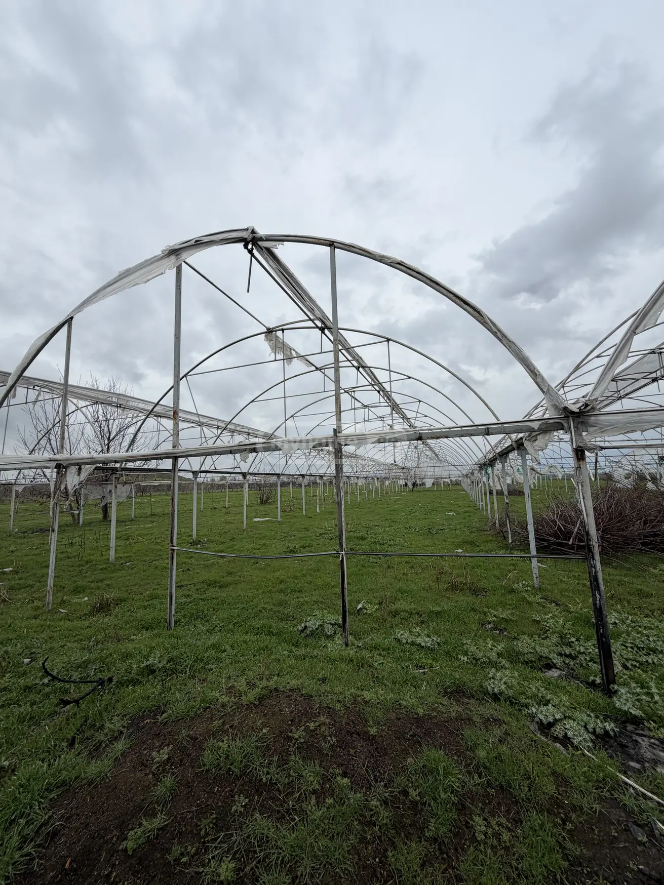 Продажа Земля / участок в Marneulshi view 16