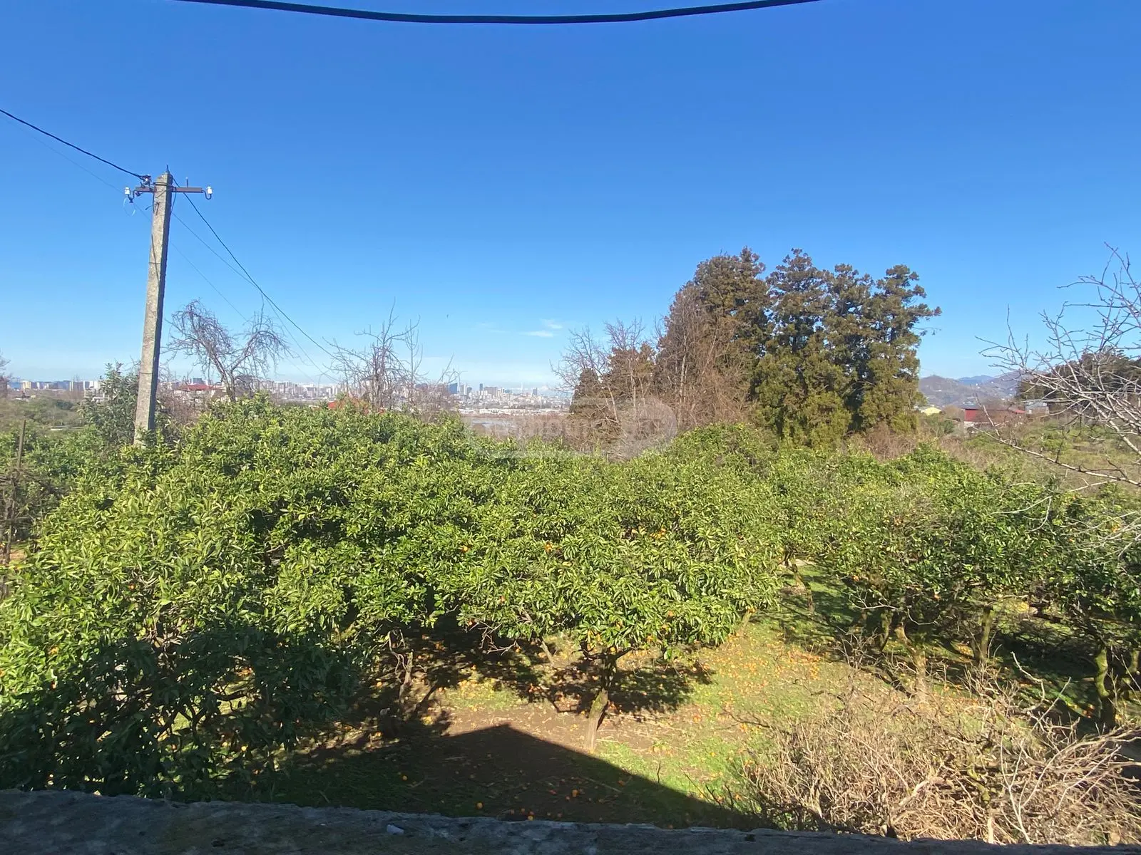For Sale Sainvestitsio Land Plot view 8