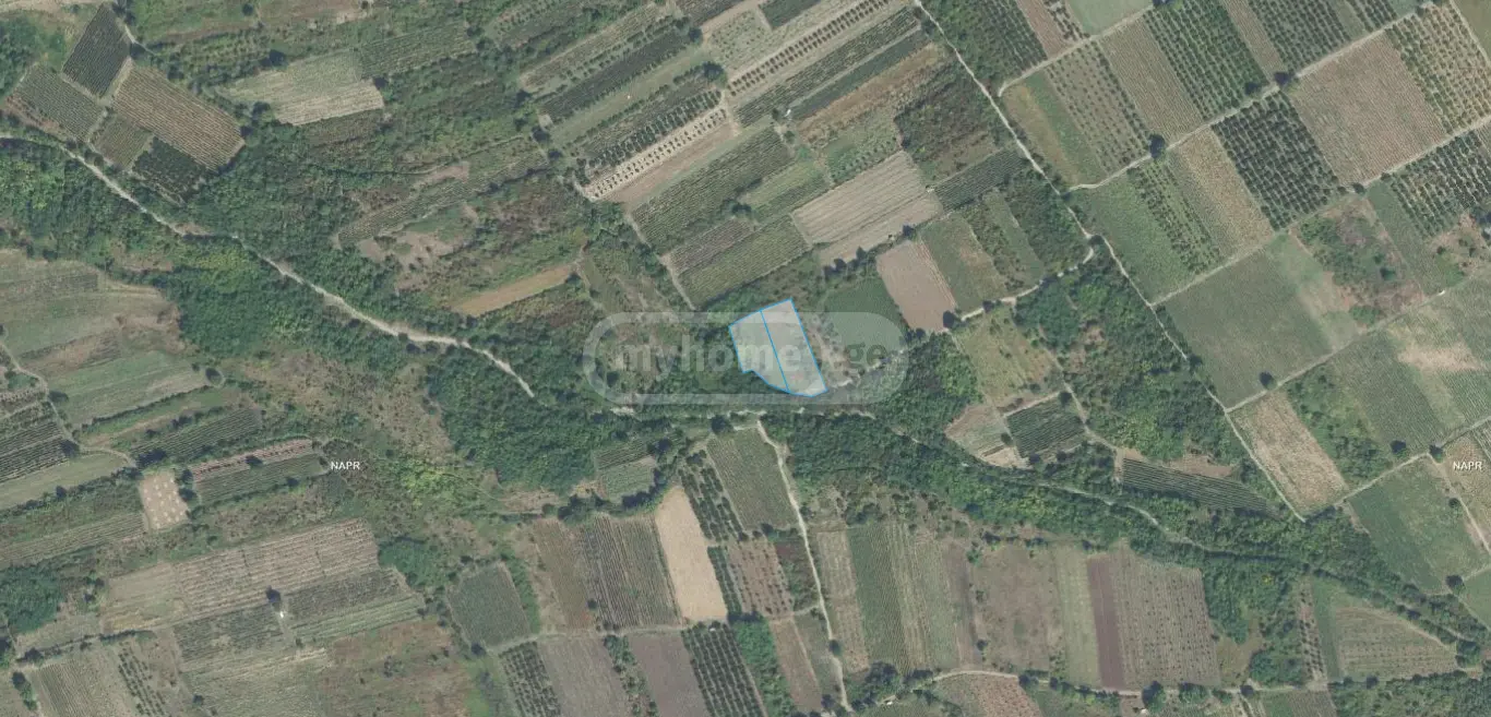 Продажа Земля / участок в Gurjaanis Munitsipalitetshi view 3