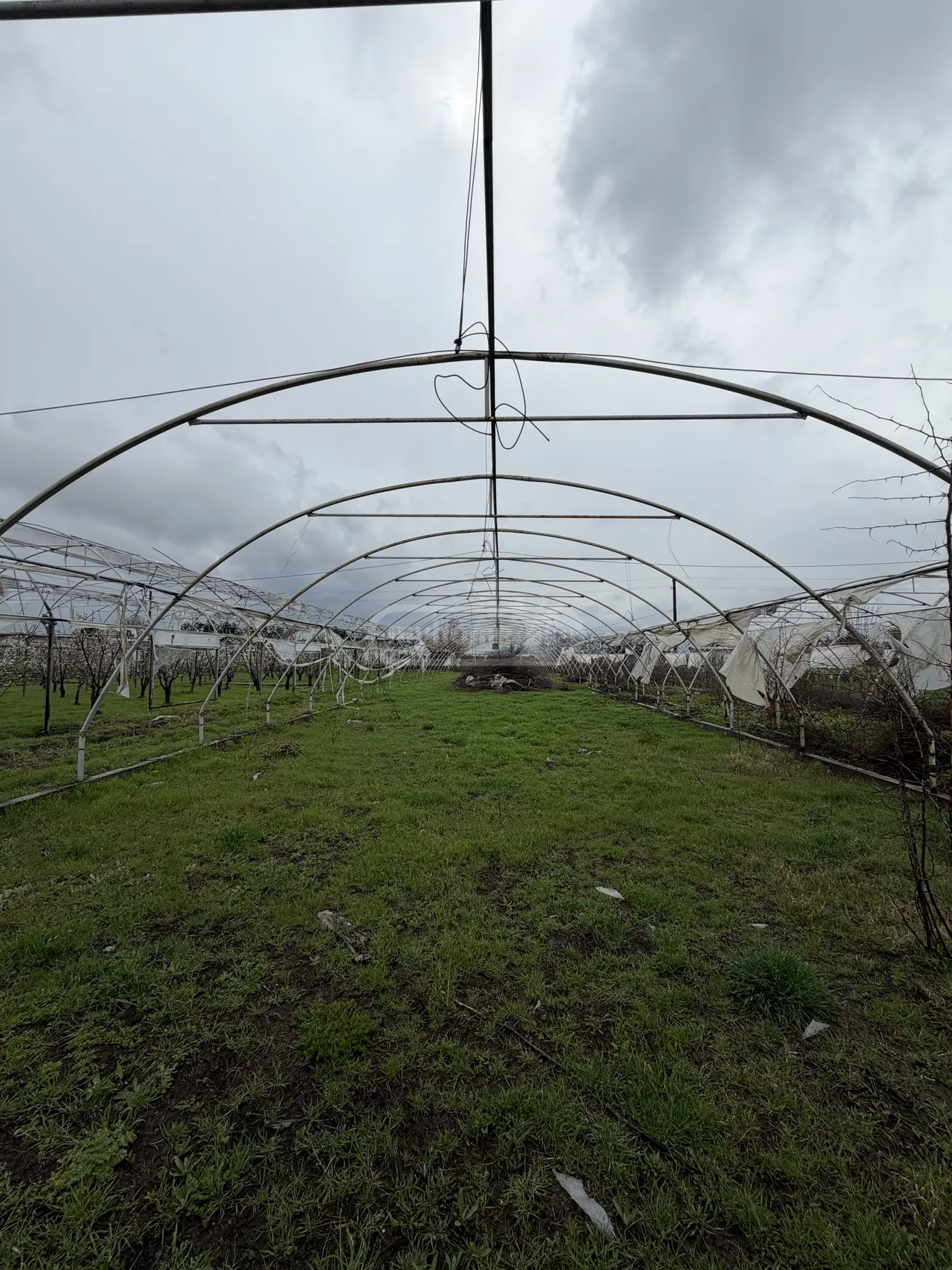 Продажа Земля / участок в Marneulshi view 12